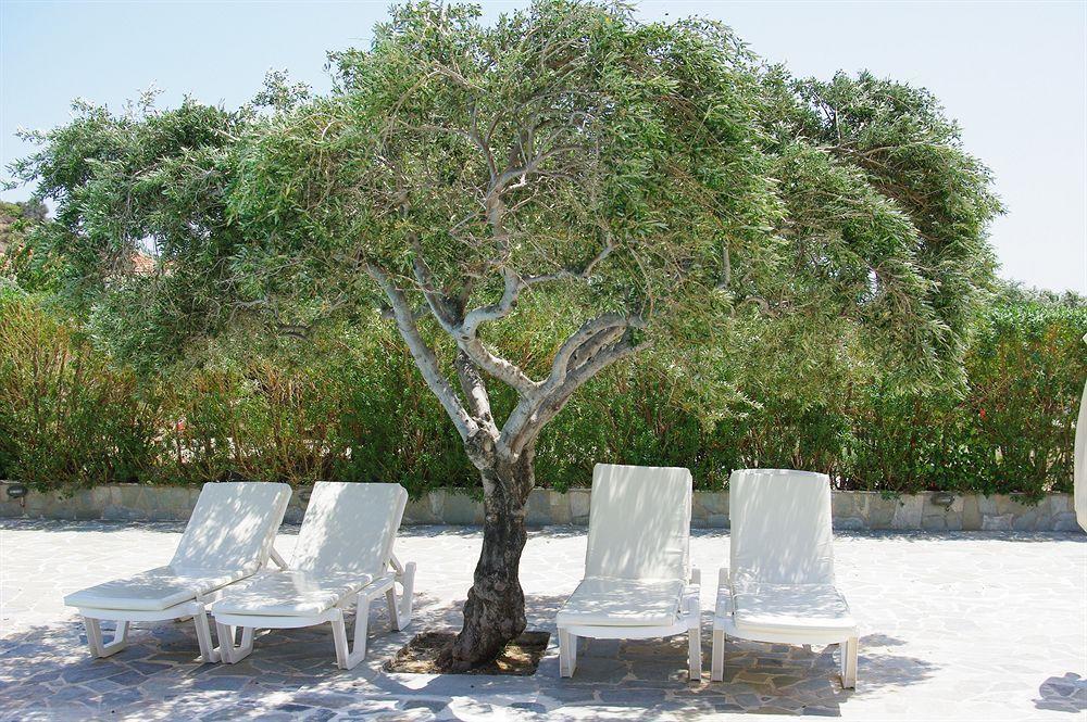 קרפאטוס Astron Hotel מראה חיצוני תמונה